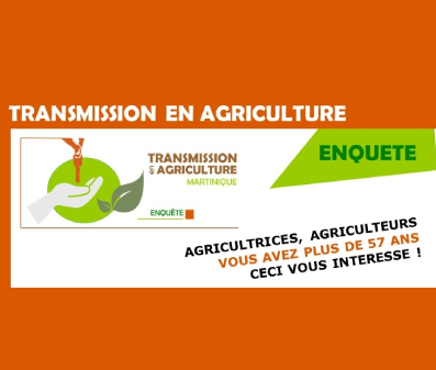 Agriculture – Enquête sur la transmission jusqu’au 30/04/25